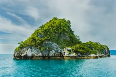 Palau diving